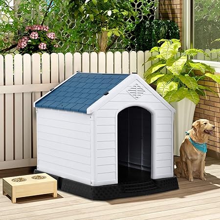 bunnings dog box