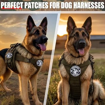 Squirrel Patrol 3 Funny Dog Harness Patch Embroidered Morale Patch with Hook and Loop for Vest, Backpack, Patch Wall (Black-Squirrel)