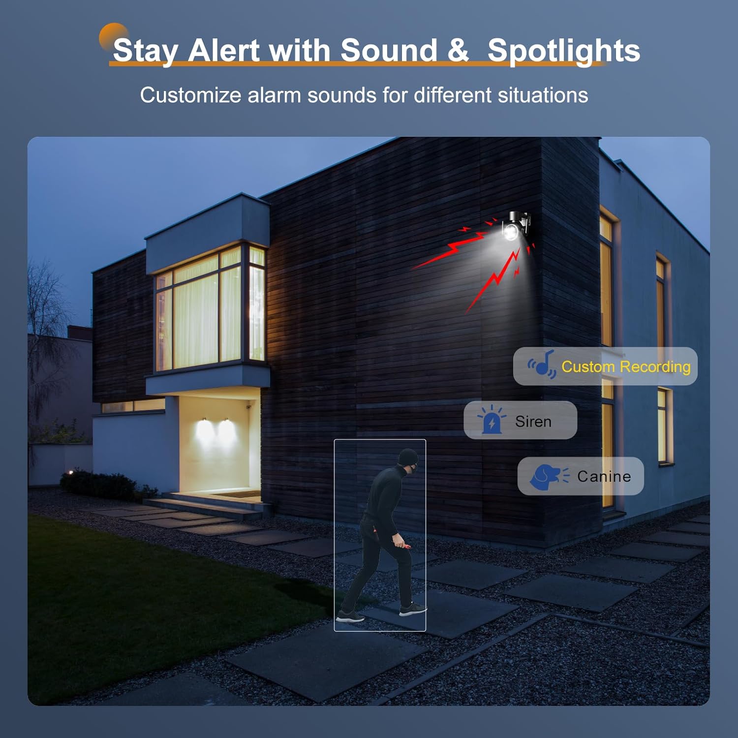 Ctronics security camera activating spotlight and siren upon detecting a person, with options for custom recording, siren, and canine sounds