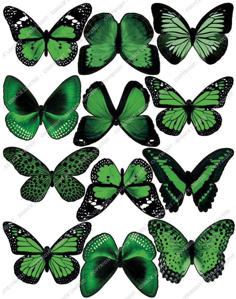 Cakeshop Edible Cake Toppers Est. 2012 Green Cakeshop 12 X Pre-Cut Edible Butterfly Cake Toppers