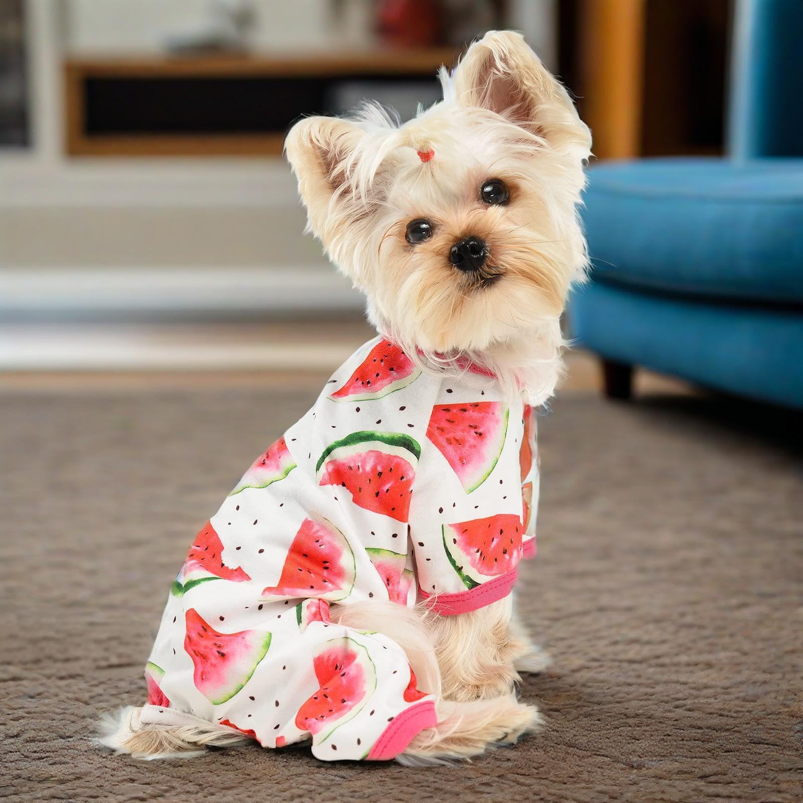 Small Pet Double Sticky Fly Bowl
