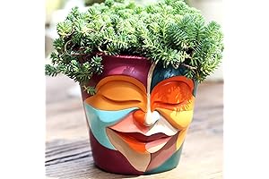 GUGUGO Abstract Rainbow Head Planter: Quirky Flower Pots for Outdoor Color