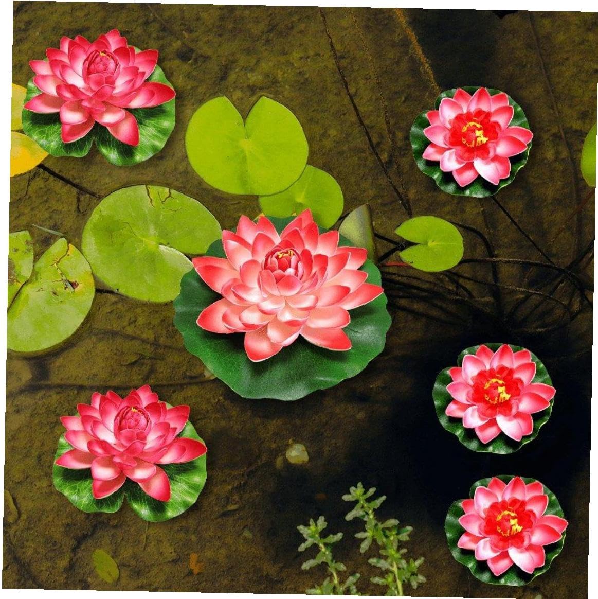 Amazon.co.jp: 6点セット 池に花を浮かべ 人工泡の蓮の花を浮かべ 池の