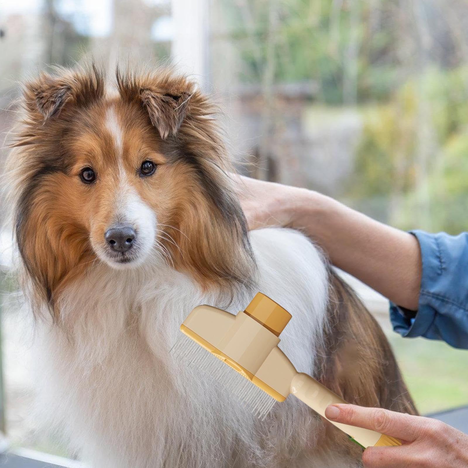Pettine Per Animali Spazzola Per Toelettatura E Sfoltimento Pelo Cani | Pettine Autopulente Per Massaggio Animali Con Pulsante Rilascio Per Gatti A Pelo Corto E Lungo, Cuccioli, Animali Piccoli