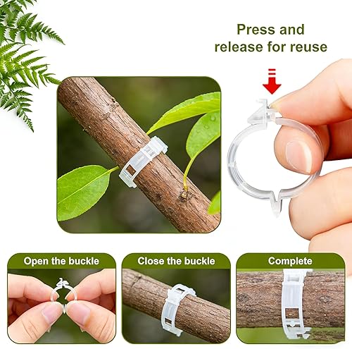 Miniatura 3 de Secured Plastic Plant Clip, 2026 Plant Support Clips Garden Climbing Vines Fixing Clip, Upgraded Plant Support Clips Reusable Garden Clips Trellis