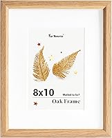 Vista 390 de Fun Memories Portarretratos de metal de 16 x 20 pulgadas con paspartú de 11 x 14 pulgadas, acabado de aluminio cepillado, parte delantera de vidrio