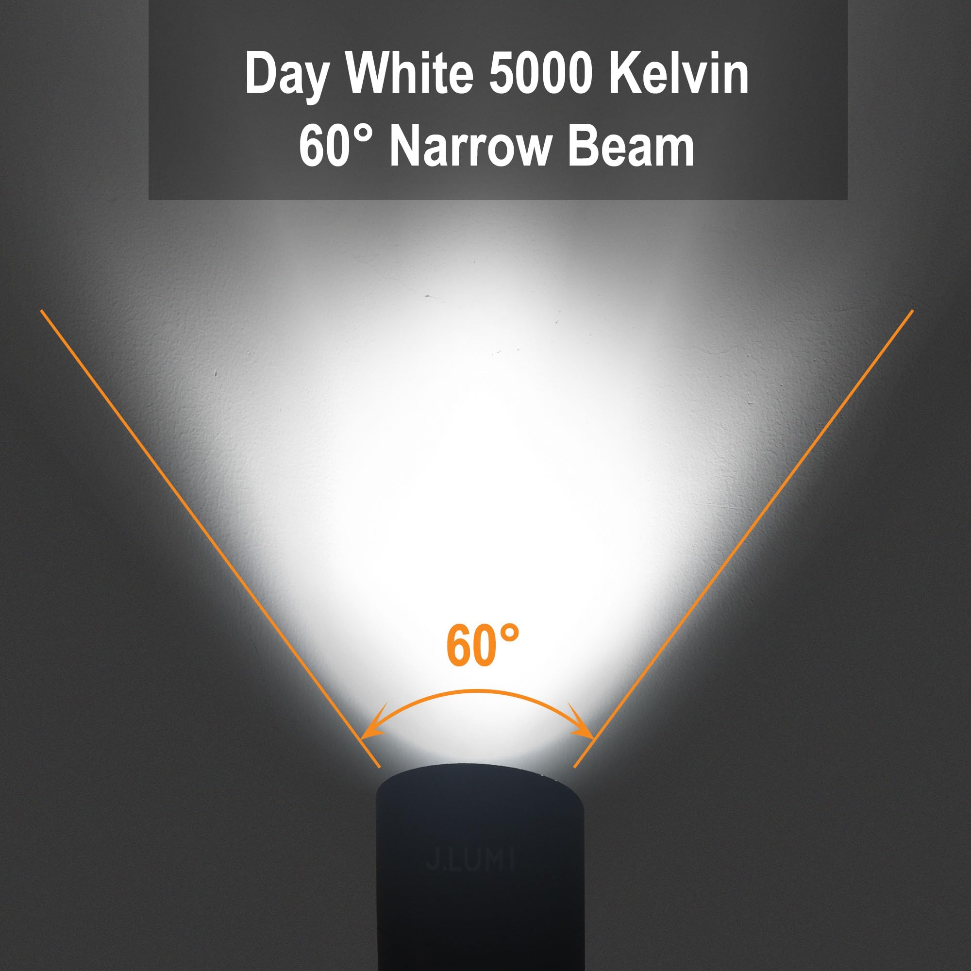 J.LUMI Refletor externo GBS9815 LED com estaca, 15W AC 120V