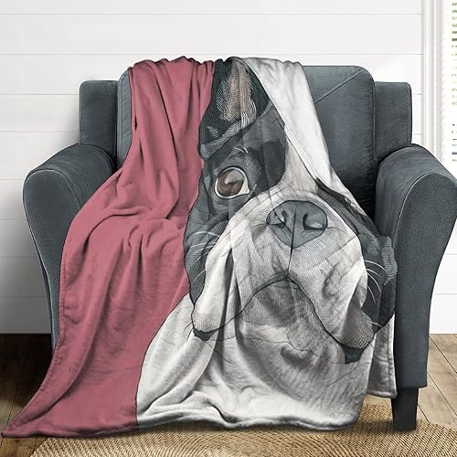 Flannel Fleece Blanket,Bulldog Frances Throw and Blankets,Warm Bed Throw Blankets for Men and Women,Seasons Blanket for Couch Bed Living Room