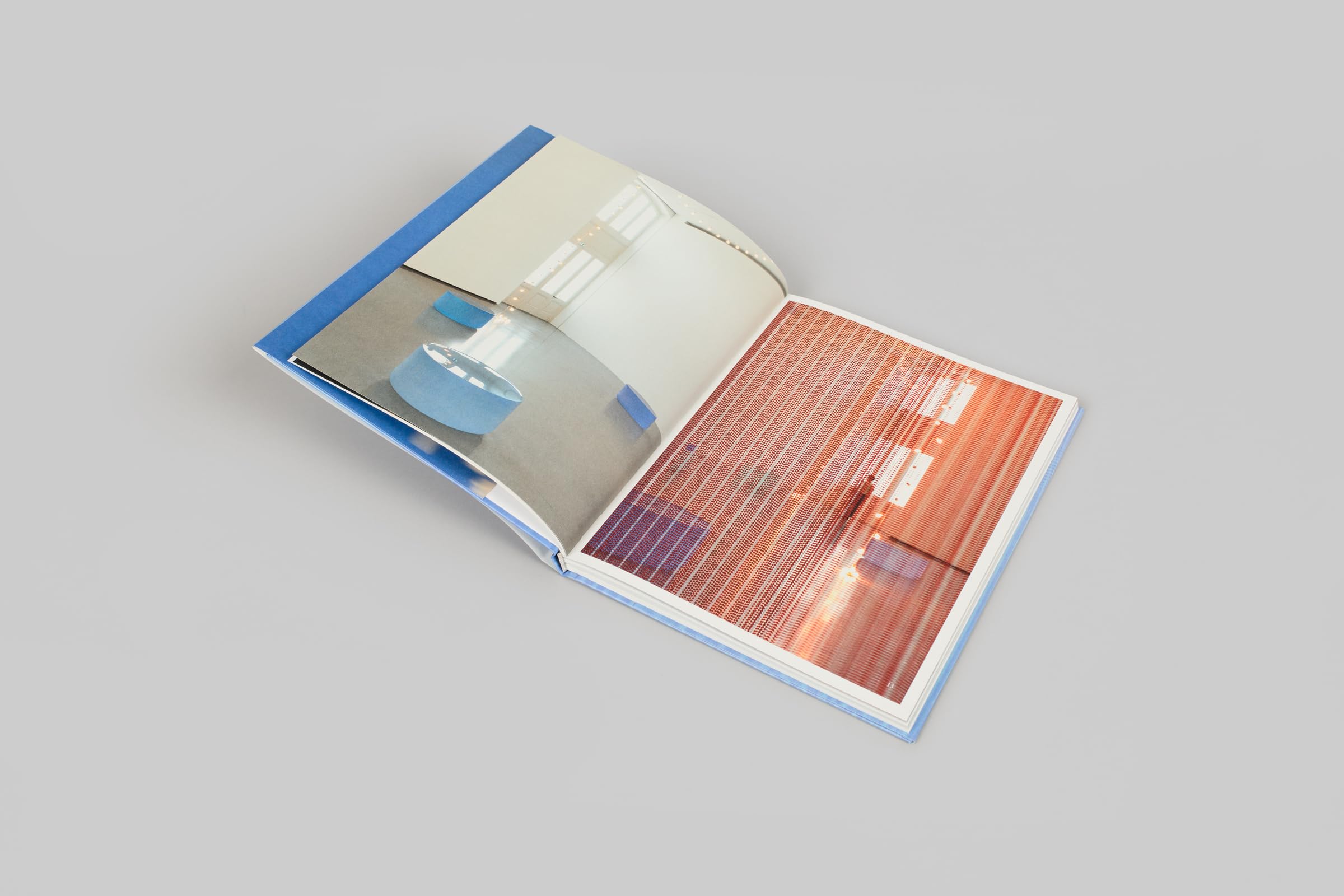 Félix González-Torres / Roni Horn
