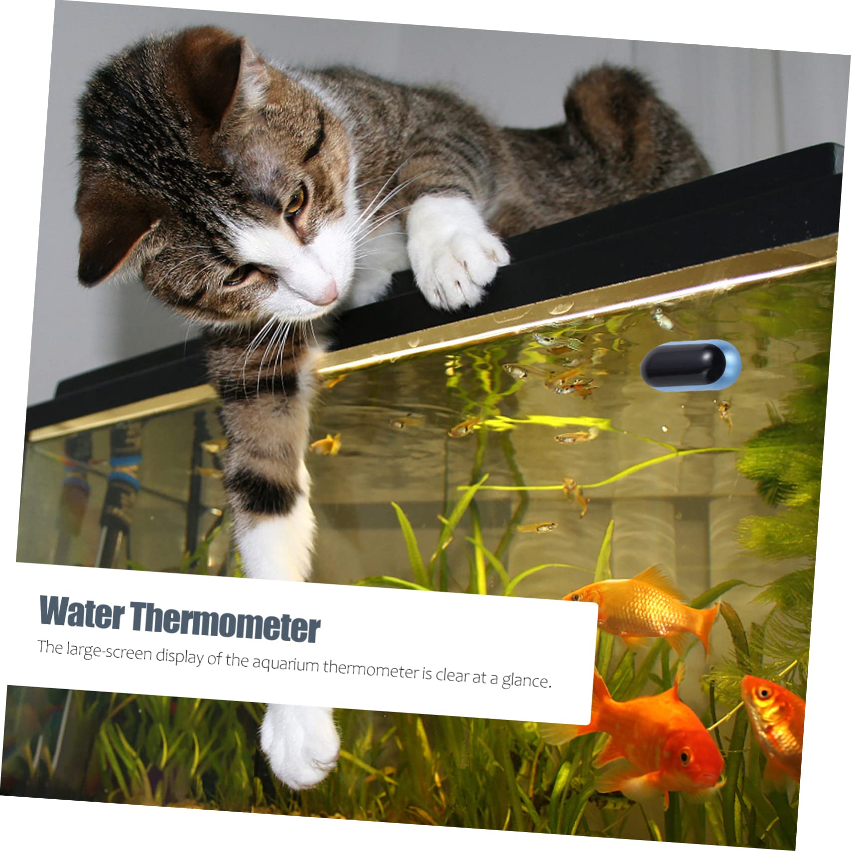 BESPORTBLE 3stücke Aquarium Thermometer Digital Mit -display Hochpräzises Temperaturmessgerät Für Fischbecken Wassertester Und Einfach Zu Bedienen Und