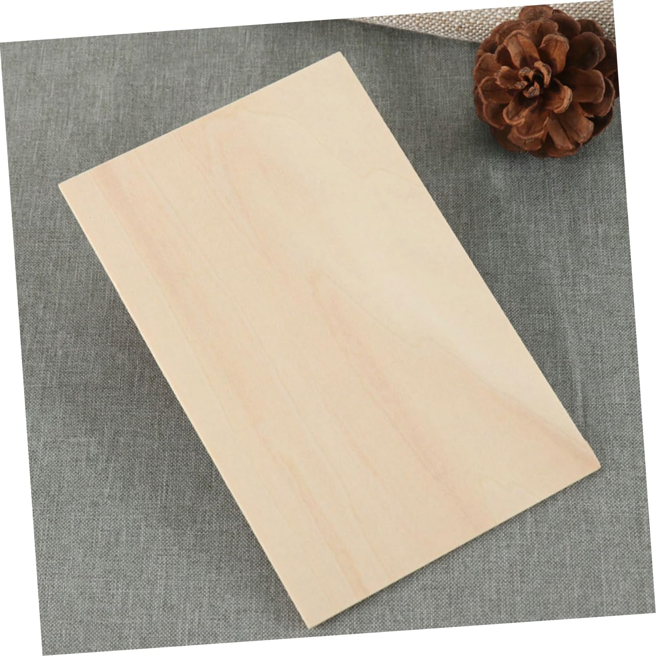 STOBOK 24pezzi Assi di Legno Grezzo Fette di Legno Non Rifinite per Artigianato Materiale per Progetti Fai da Te e Decorazioni
