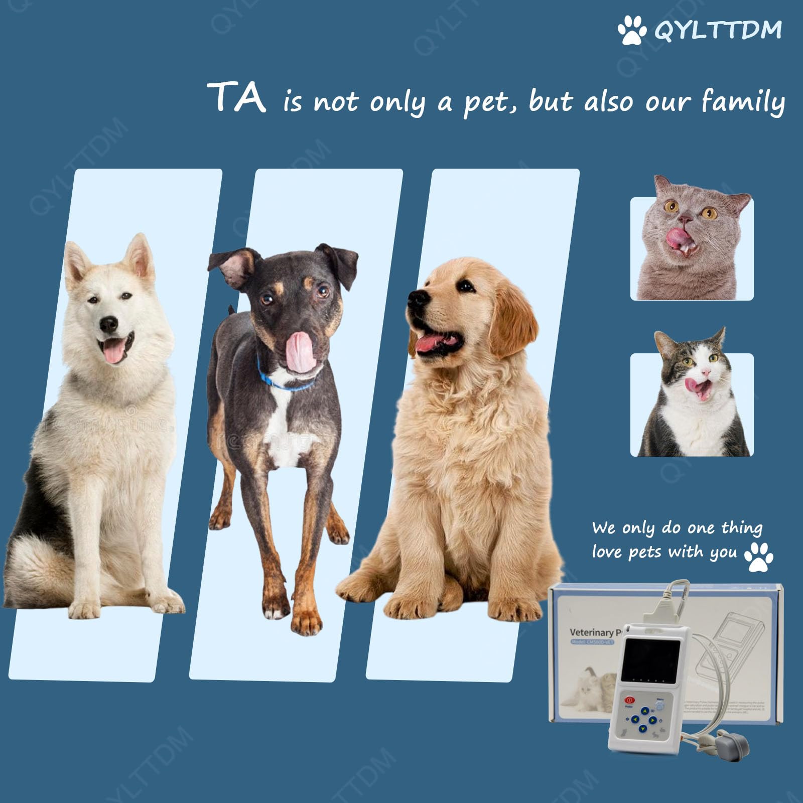 Pulsossimetro Veterinario Portatile con Display A Colori, Sensore Auricolare/Lingua del Monitor della Frequenza Cardiaca, con Sonda E Cavo USB, Funzione di Archiviazione E Riproduzione
