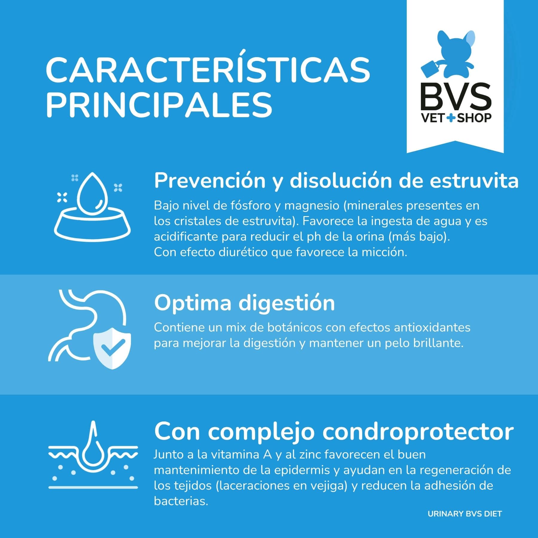 BVS Vet Shop | Diet Gato Urinary | Pienso de prescripción destinado a Reducir la formación de cálculos de estruvita | 2 x 12 kg