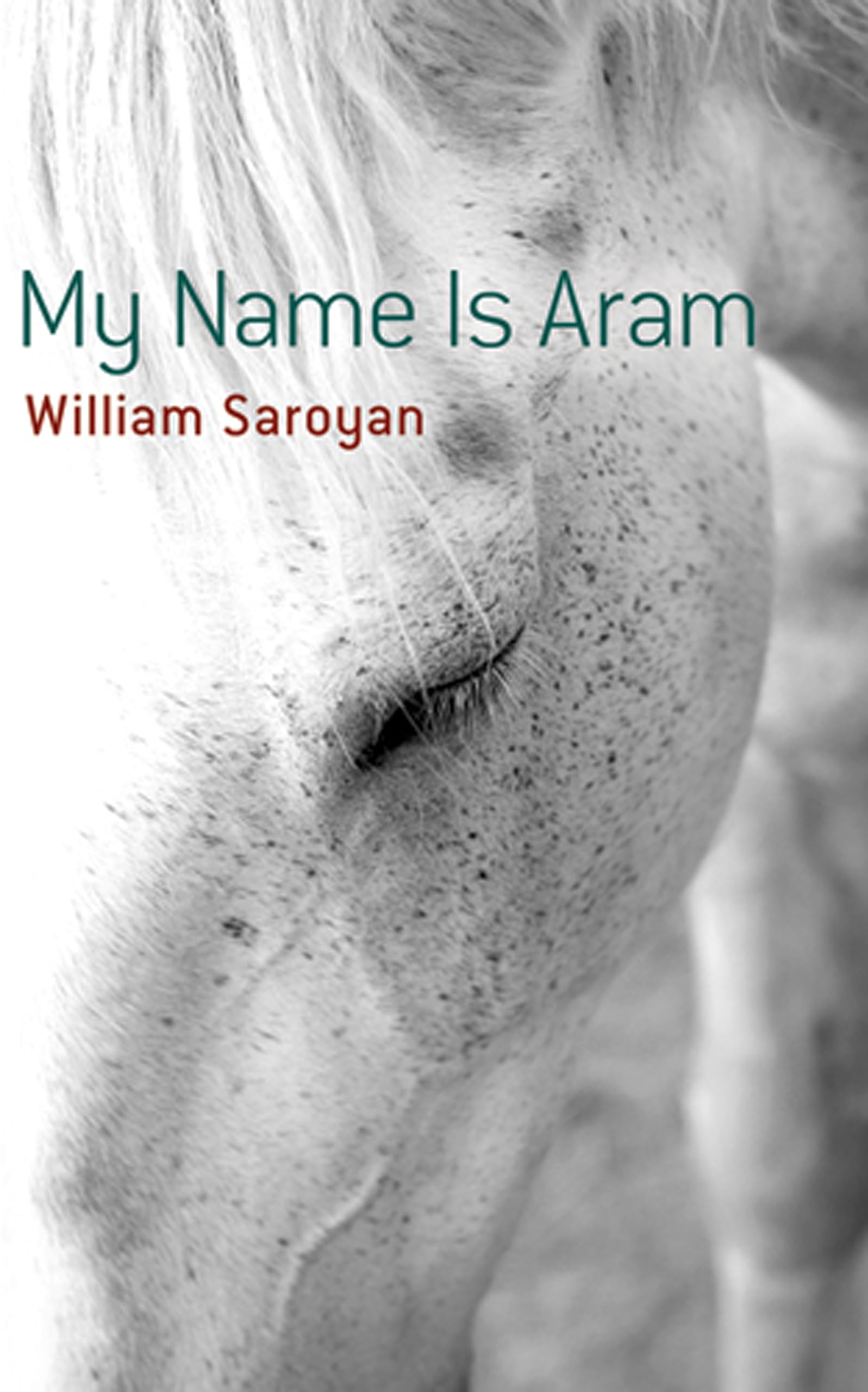 My Name is Aram