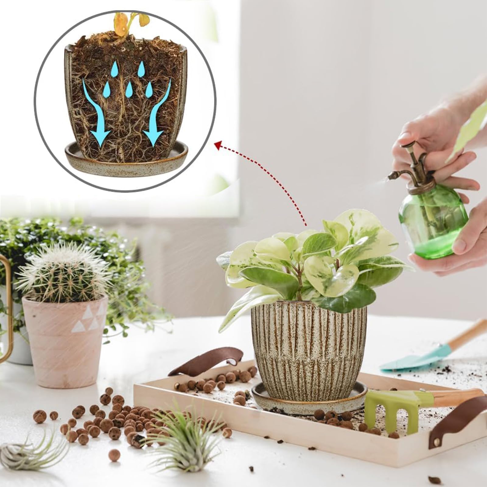 Amazon.co.jp: 植木鉢 陶器鉢 プランター 4号 5号 2個入り 受け皿付き