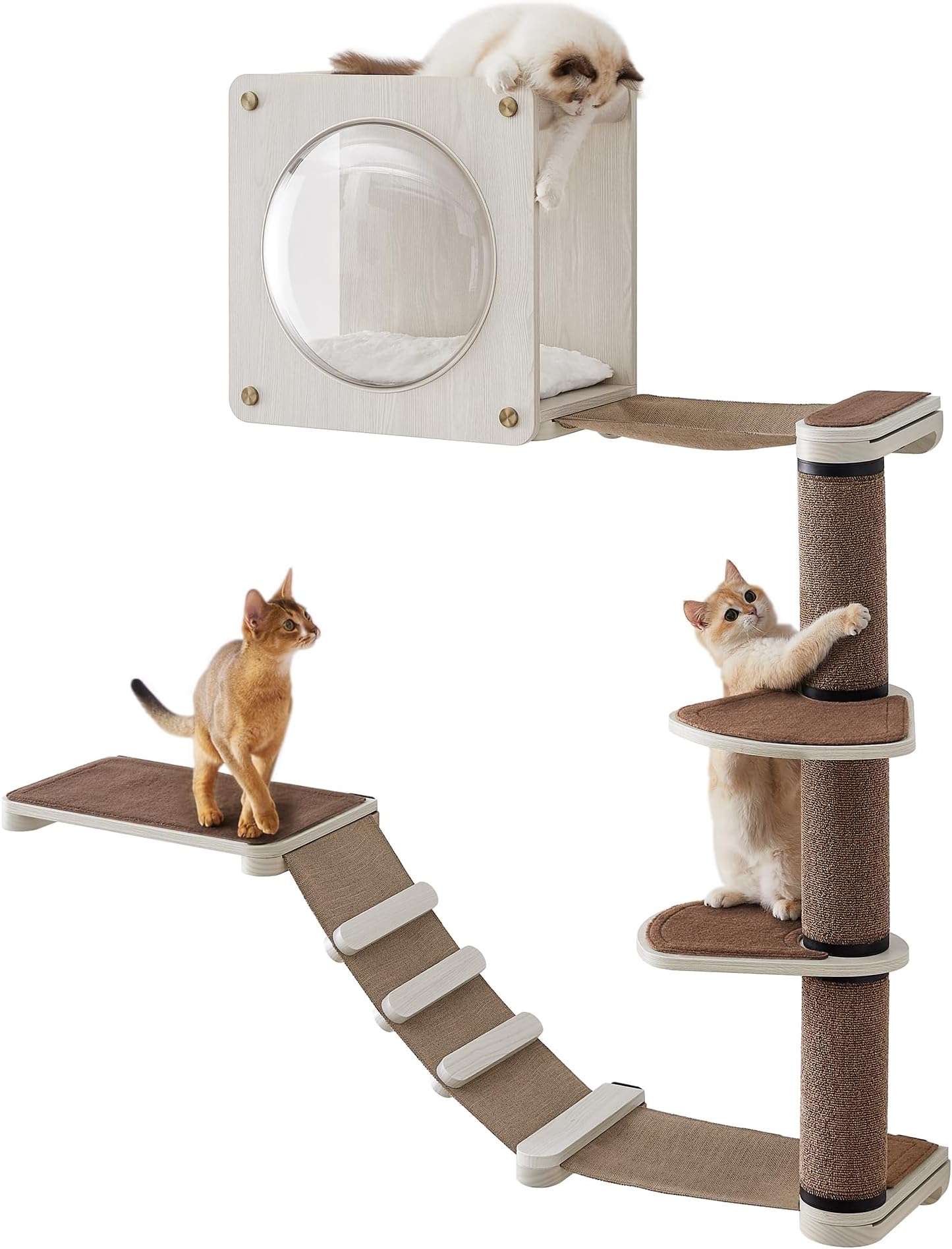 Feandrea Clickat Oasis Cat Wall Furniture, Set of 5, Cat Climbing Wall, Cat Shelf, Cat Hammock, Scratching Post, Cat Cave, Replaceable Washable Parts, Oatmeal Brown and Coffee Brown PCK900T66
