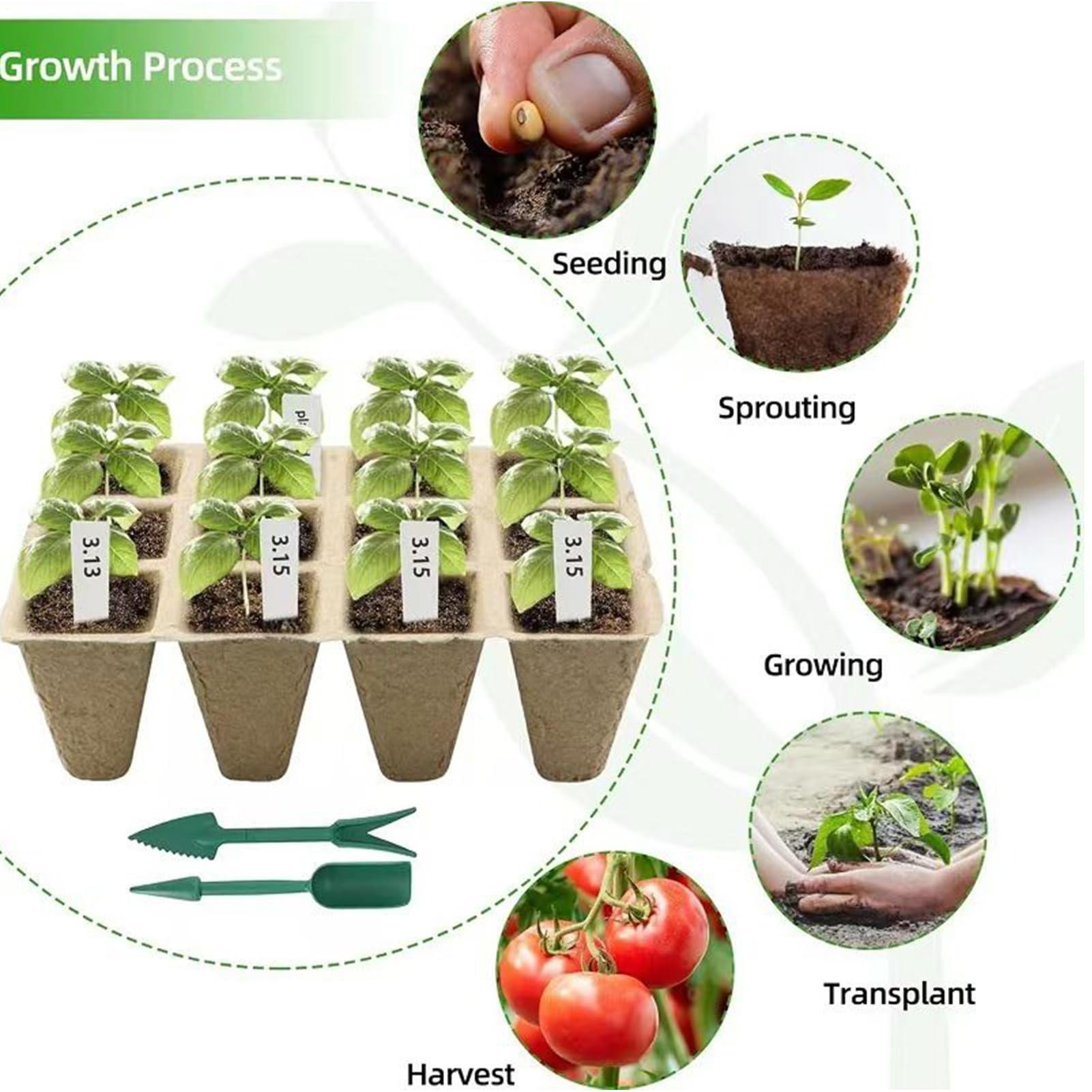 Macetas de Inicio para Plantas Kit de Vasos de Trasplante de 12 Celdas | con Herramientas y Etiquetas Vasos de Plantación Amigables con Raíces para el Cuidado Crecimiento y