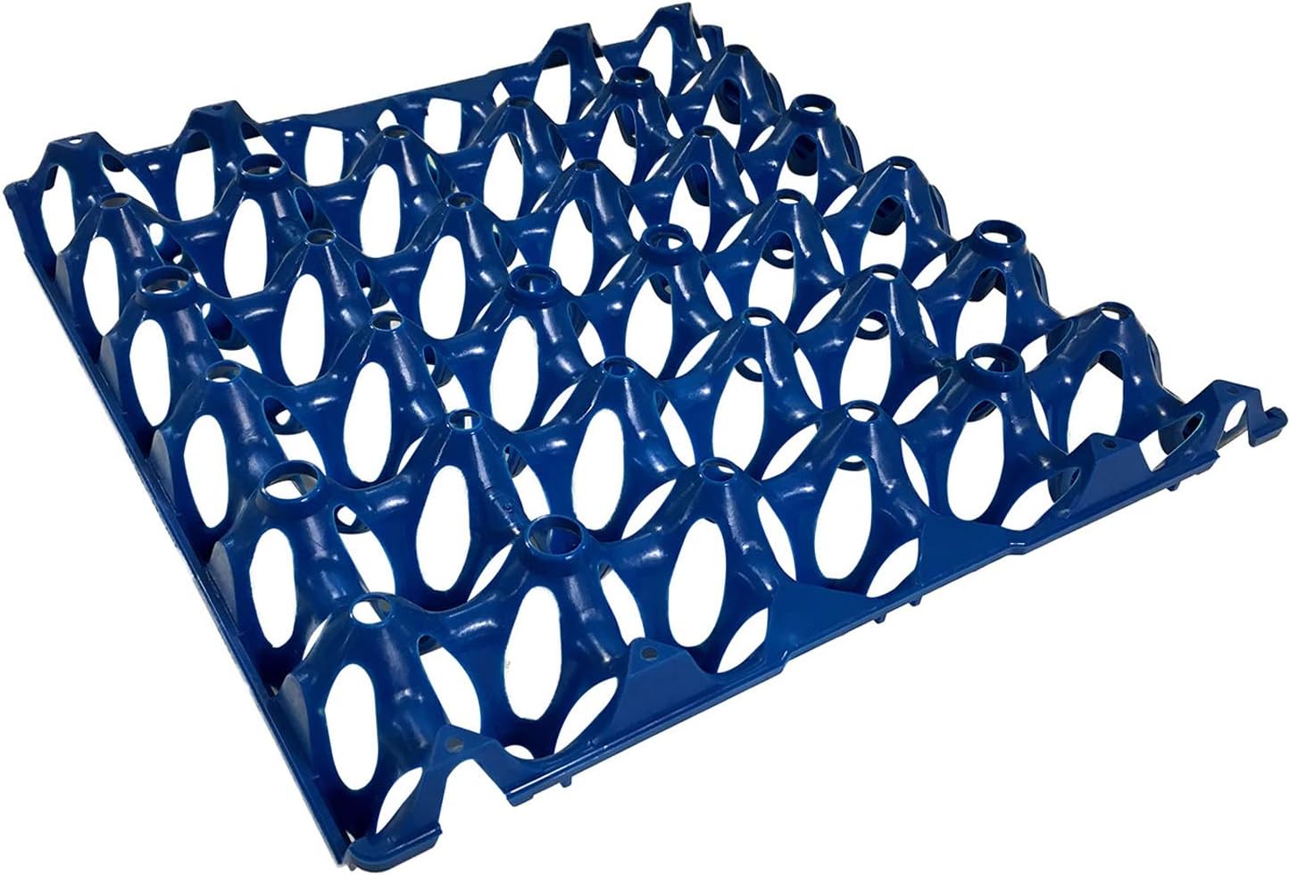 Tigerbox Eton Plastic Egg Tray Holds 30 Eggs - Blue