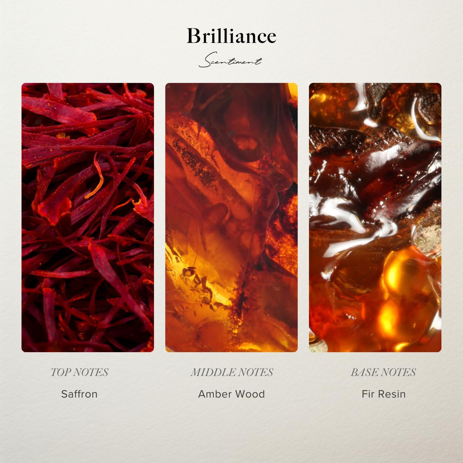 Scentiment Diffuser Oil - Brilliance Designer Collection | Aromatherapy Home Fragrance | Luxurious Scent with Notes of Saffron, Amberwood, Fir Resin (20 mL) - Image 2