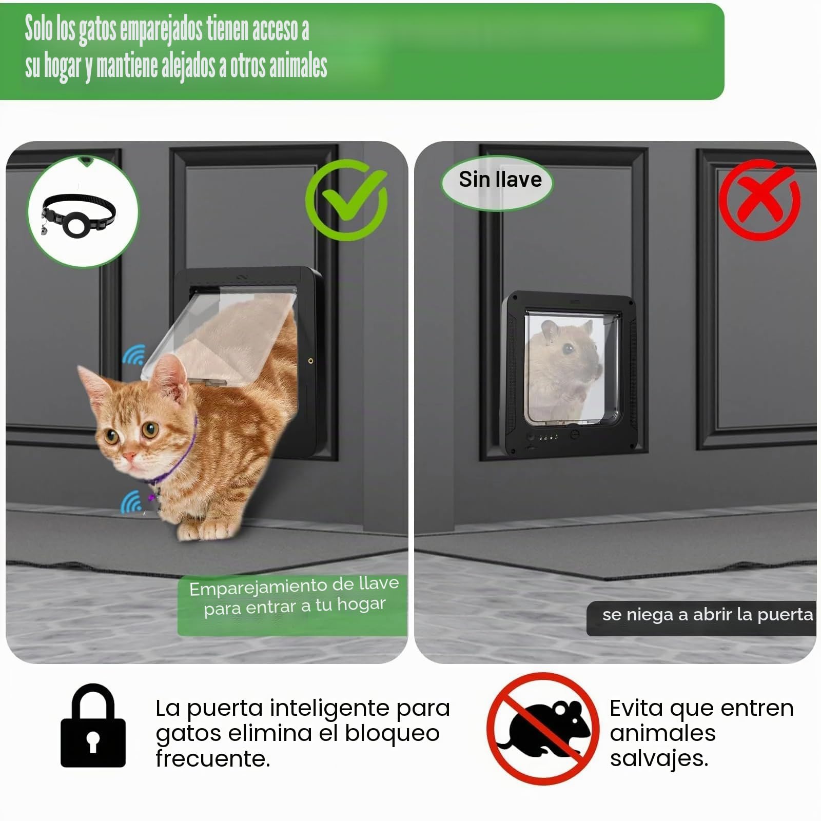 Puerta electrónica automática para mascotas - Entrada segura con microchip RFID con cierre de 4 vías, a prueba de inclemencias del tiempo para gatos y perros pequeños