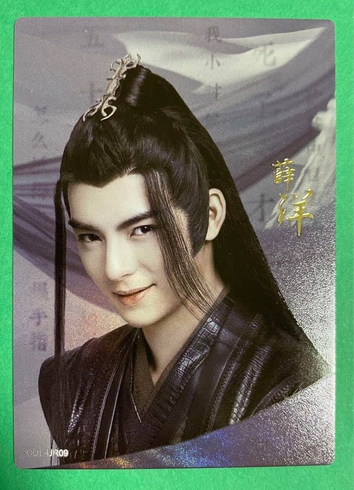 陳情令　公式レコード（第一弾）封入特典　ランダムカード　29枚セット 非売品 】陳情令 ☆ 公式配布・特典（クリアカード）2種セット