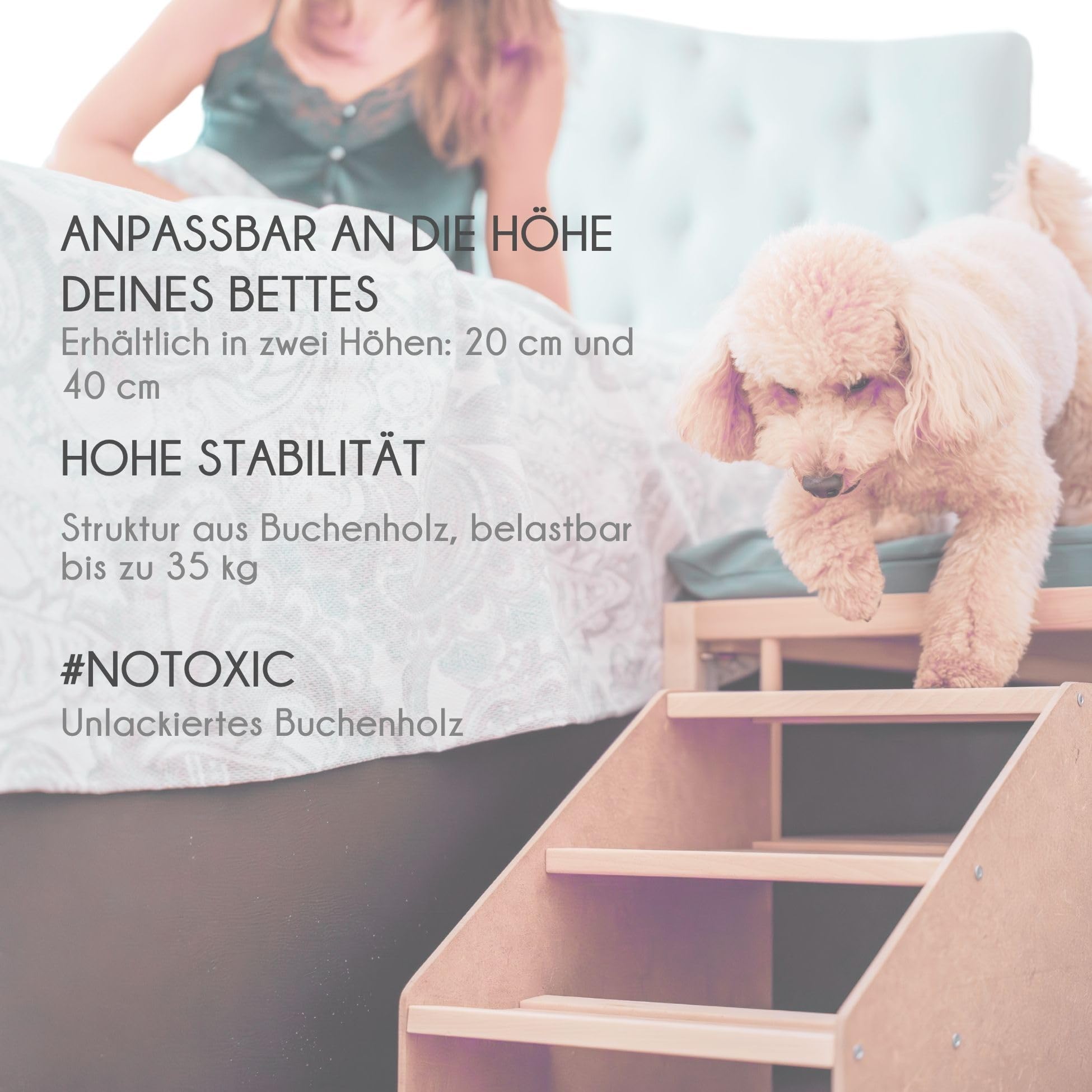 Bett für Hunde, Katzen, Haustiere, erhöhtes Bett aus Holz mit Einstiegsstufe, mit wasserdichter Schaumstoffmatratze + Bezug, Colecho mit Ihrem Tier, 2 Höhen, Faunatic CoolDreams