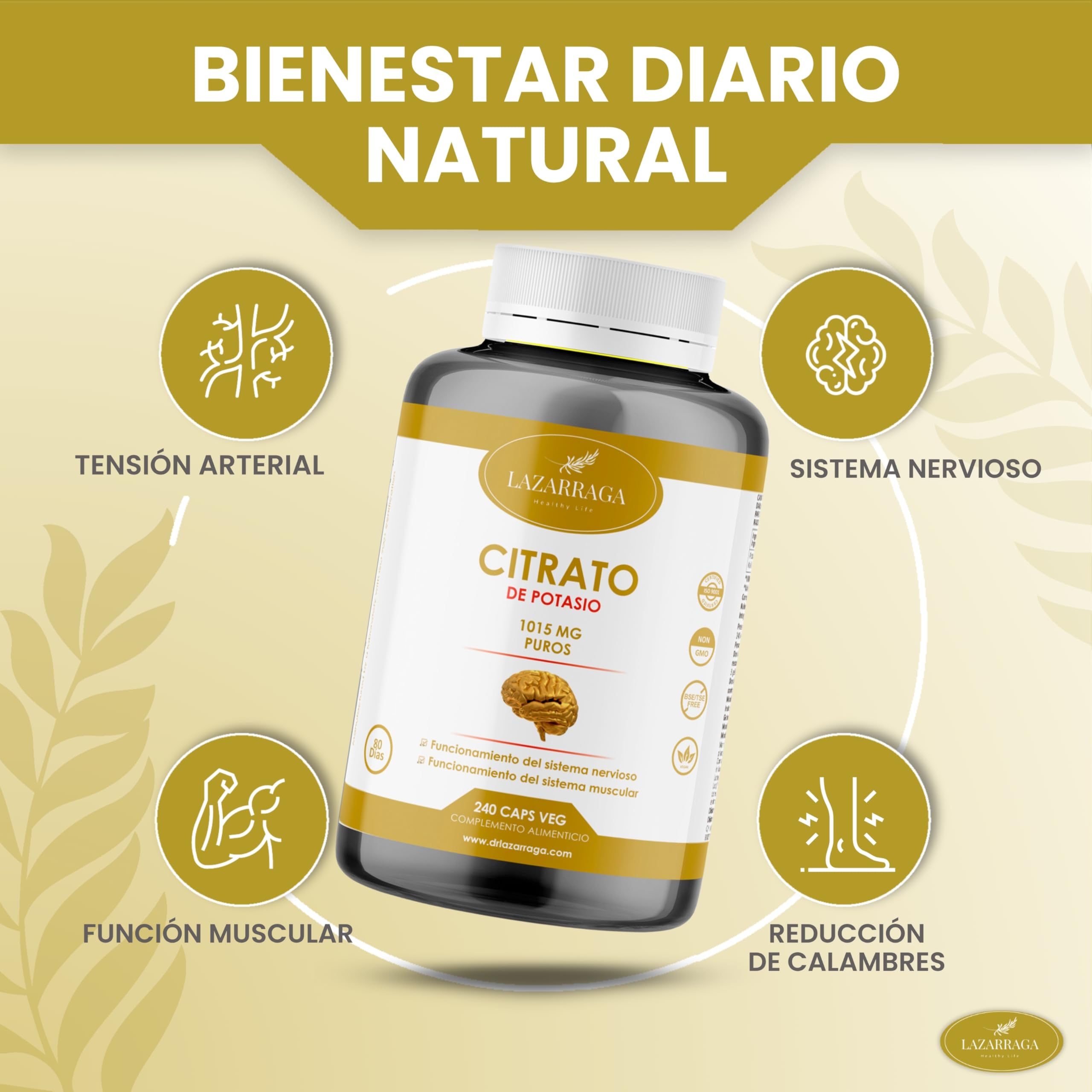 Citrato di Potassio 240 capsule | altamente dosato | 1015 mg per dose giornaliera | Minerale essenziale per la funzione muscolare e il funzionamento del sistema nervoso