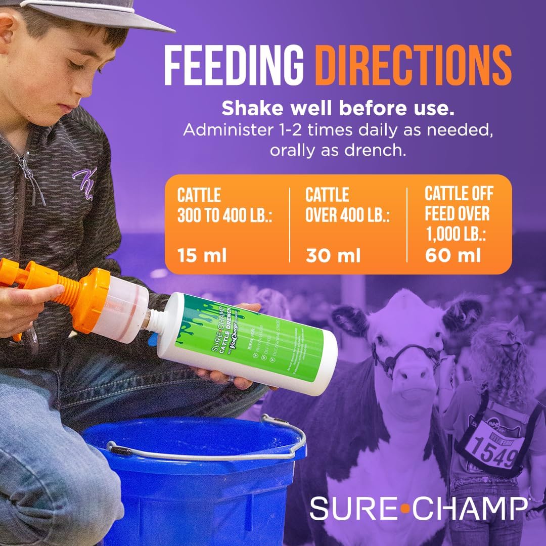 Sure Champ - Liquid Cattle Drench, 32 Fl Oz - Digestion Supplement for Immune Health Support with Enzymes & MOS, Tailored Dosage for Cattle, Promotes Optimal Digestion and Performance