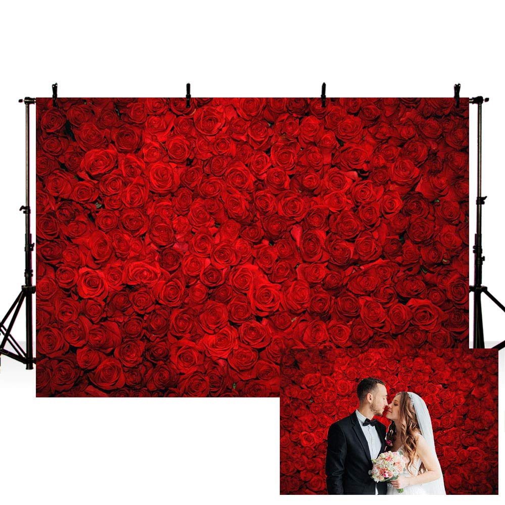 MEHOFOND Fotohintergrund Scheidungsparty – 2,1 X 1,5 M, Silberner Flash-Druck, Für Fotos & Dekoration