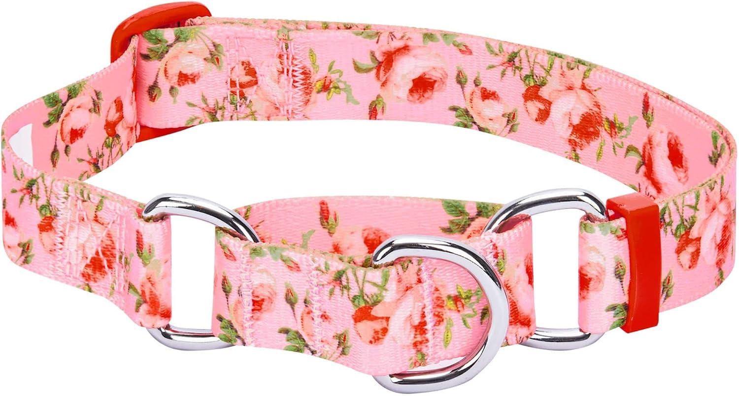 Blueberry Pet Spring Scent Inspired Rose Print Martingale Safety Training Dog Collar, Baby Pink, Small, Heavy Duty Adjustable Collars…