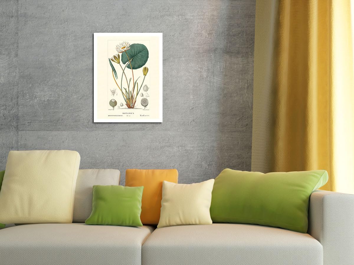 BOTANICAL ART 【import品】 Amazon.com: Uttermost 56053 Midnight Botanicals Wall Art