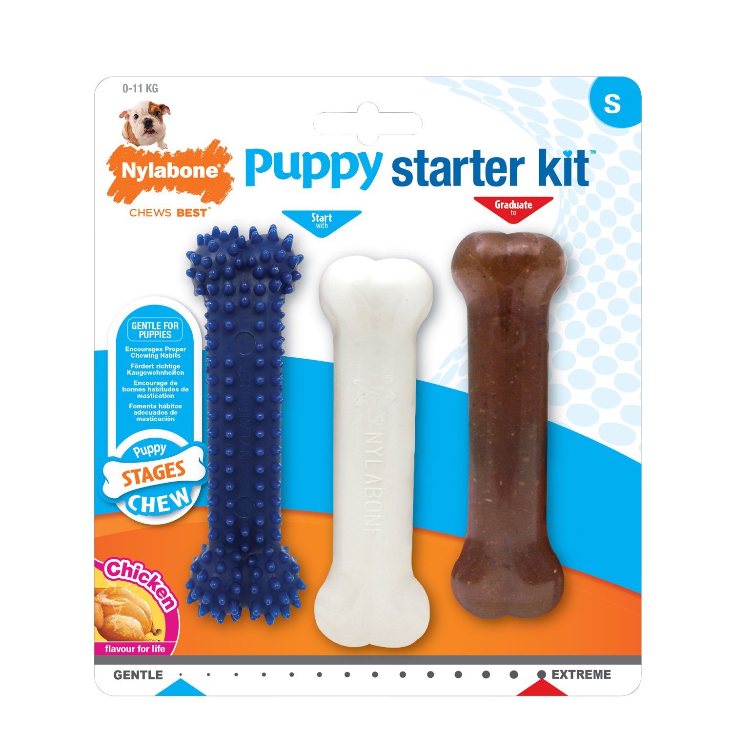 Nylabone - Puppy Starter Kit
