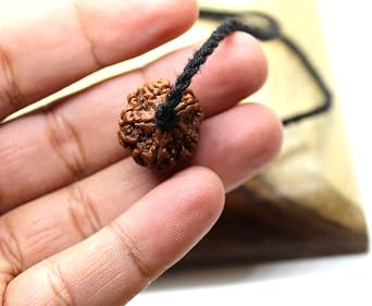 Certified Shiva pendant with 5 Mukhi Rudraksha mala bead, Mahadeva yoga jewelry, big Rudraksh choker, Protection jewellery, Hindu necklace