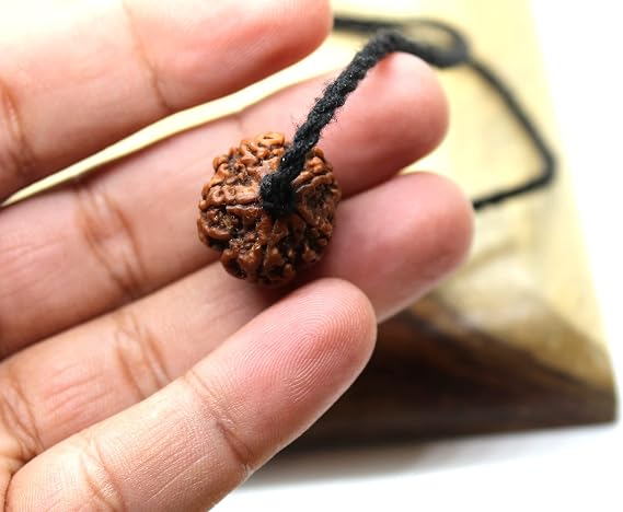 Certified Shiva pendant with 5 Mukhi Rudraksha mala bead, Mahadeva yoga jewelry, big Rudraksh choker, Protection jewellery, Hindu necklace