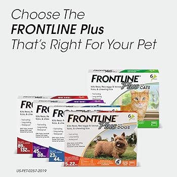 comfortis for dogs amazon