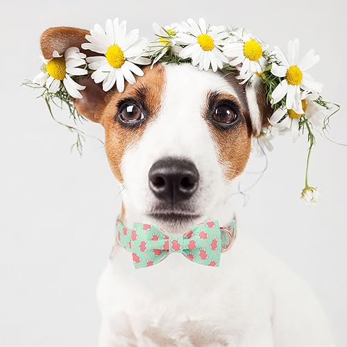 Miniatura 208 de Collar de perro con bandera estadounidense con pajarita, collar patriótico para perros pequeños, medianos y grandes, talla XS