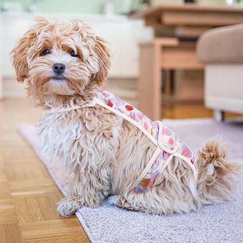 Miniatura 9 de ASENKU Pañales lavables para perras, paquete de 2 pañales para perras hembras en celo, período, incontinencia, bragas reutilizables para perras,