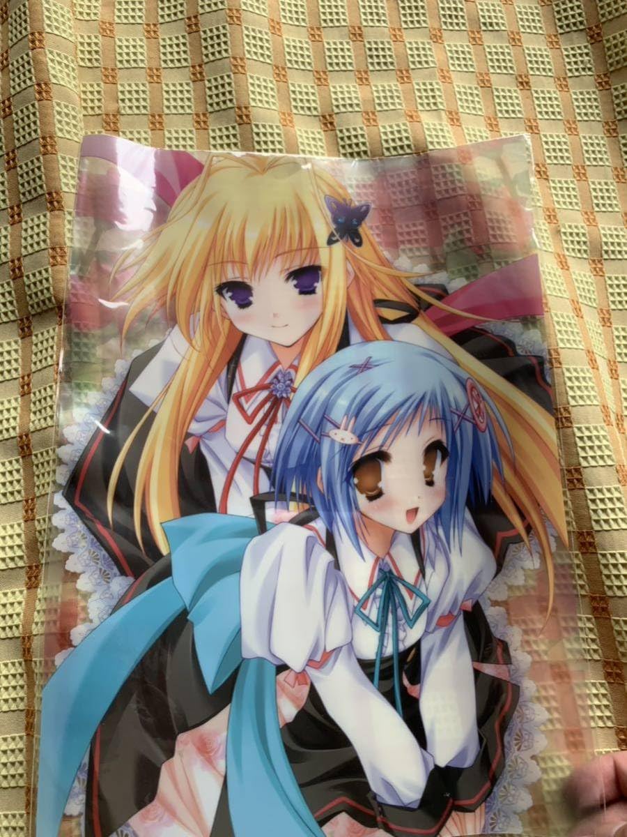 Amazon.co.jp: タユタマ クリア ポスター lump of sugar 角砂糖