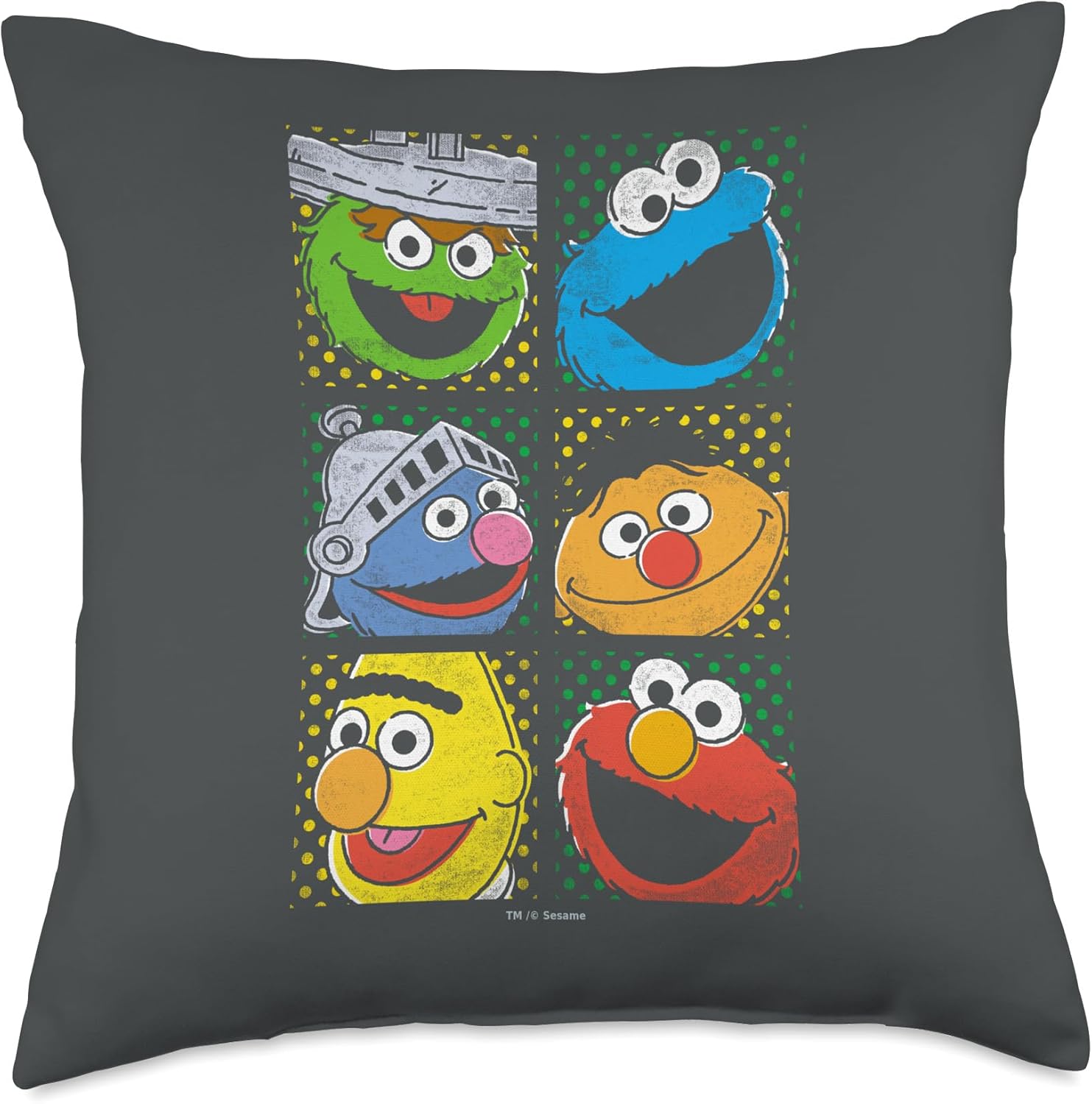 Sesame Street Group Squares Throw Pillow, 18x18, Multicolor