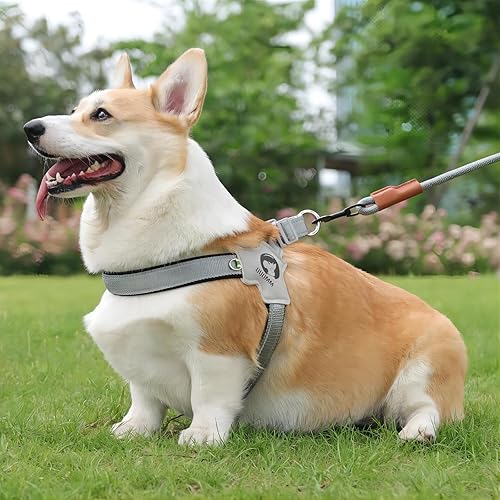 Miniatura 7 de Arnés para perro sin tirones, juego de arnés para perro con correa ajustable, reflectante, de fácil control, para perro mediano y grande con una