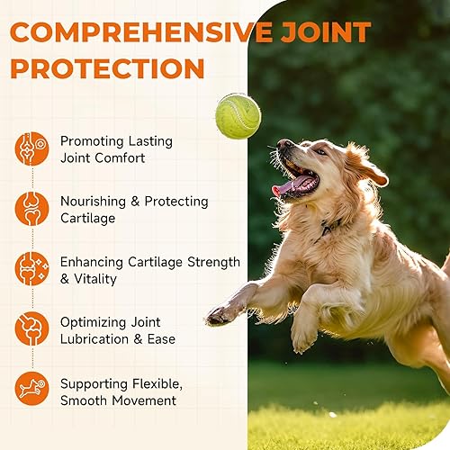 Miniatura 5 de Suplemento articular para perros, 180 unidades, glucosamina condroitina, glucosamina para perros, cadera y suplemento articular con condroitina,