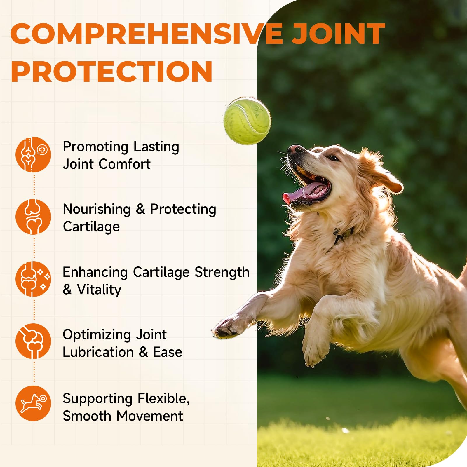 Zozdal Joint Supplement for Dogs, 180 Chicken Flavor Chews, Glucosamine Chondroitin with MSM, Turmeric & Green Lipped Mussel, for Large Breed & Senior Dogs, Hip & Joint Pain Relief and Health Support - image 5