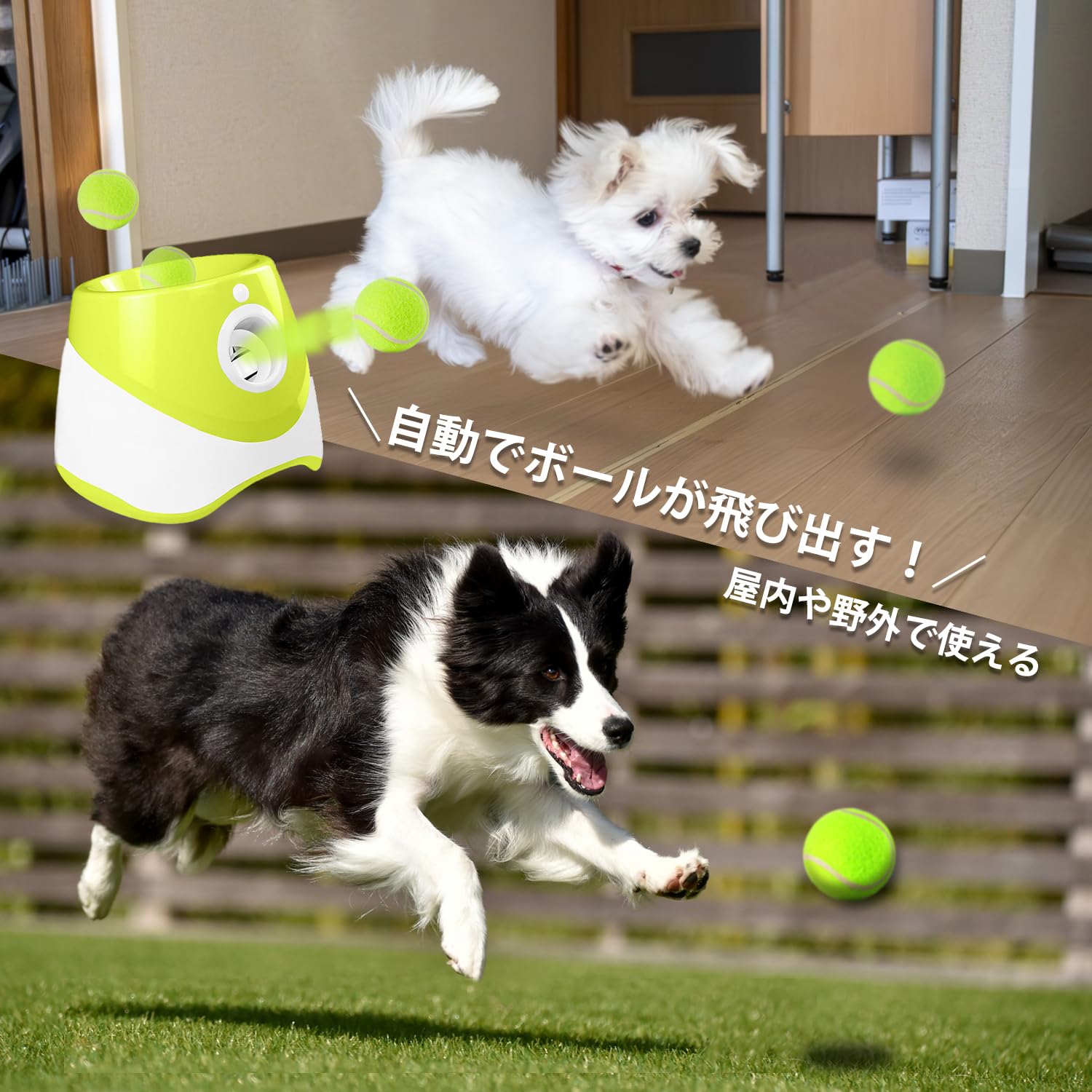 Amazon | 犬 ボールランチャー おもちゃ 自動 ひとりで遊べる！一人