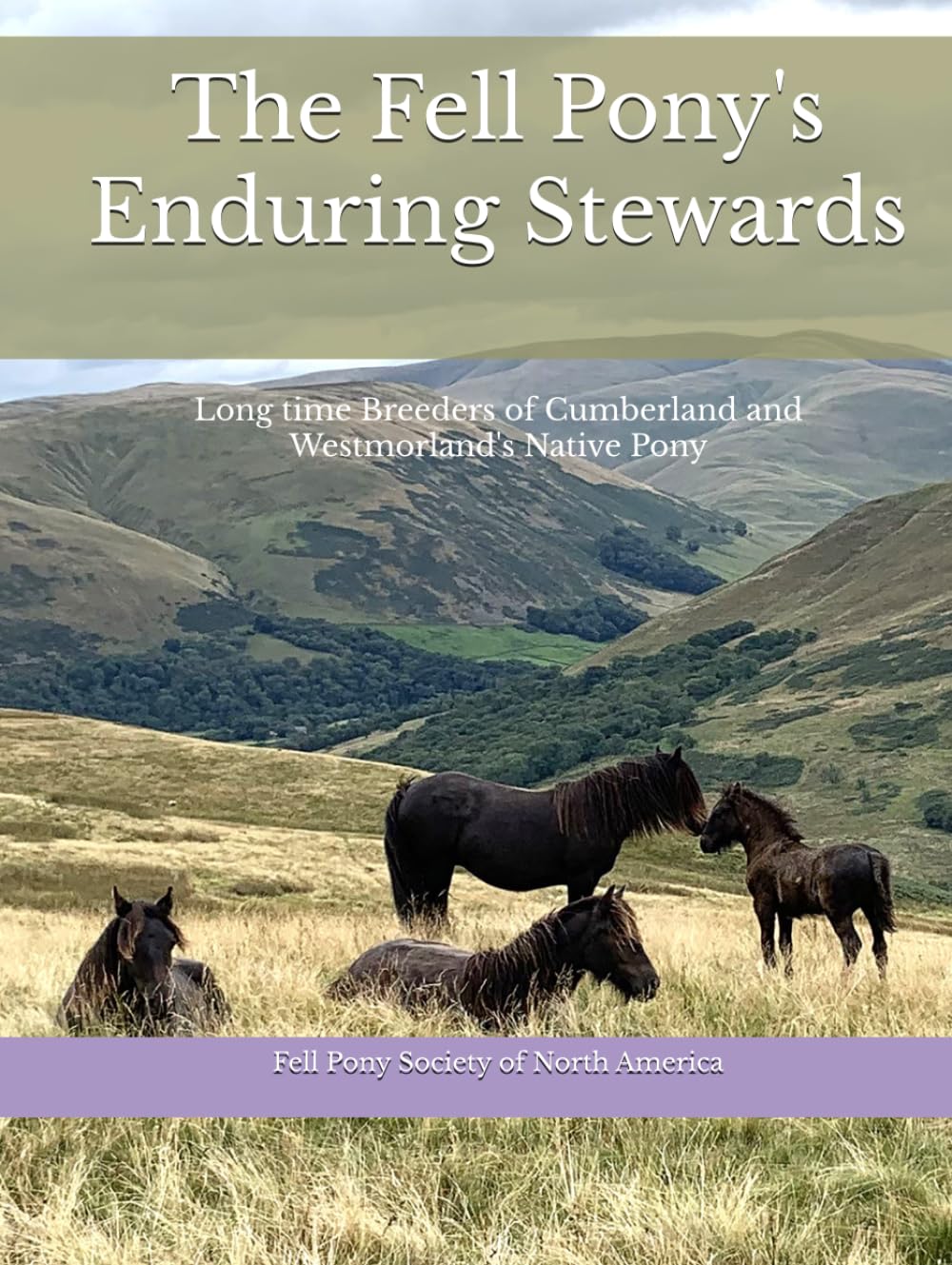 The Fell Pony's Enduring Stewards: Long time Breeders of Cumberland and Westmorland's Native Pony