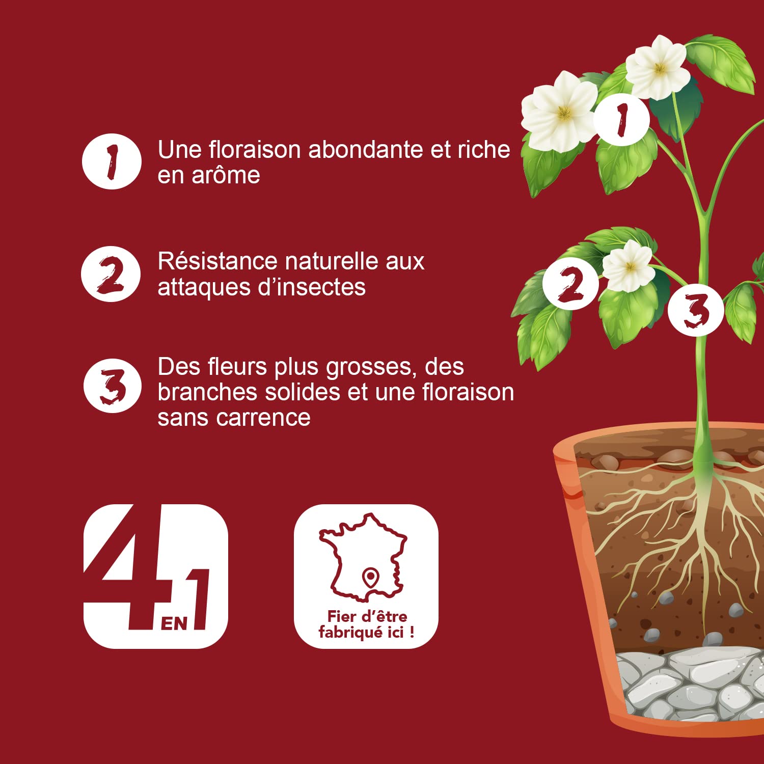 Bio Technology® | Engrais Floraison de Qualité | Fertilisant Floraison Universel| Super rendement et améliore Les arômes | Fabriqué en France | Bloom A+B 250 ML