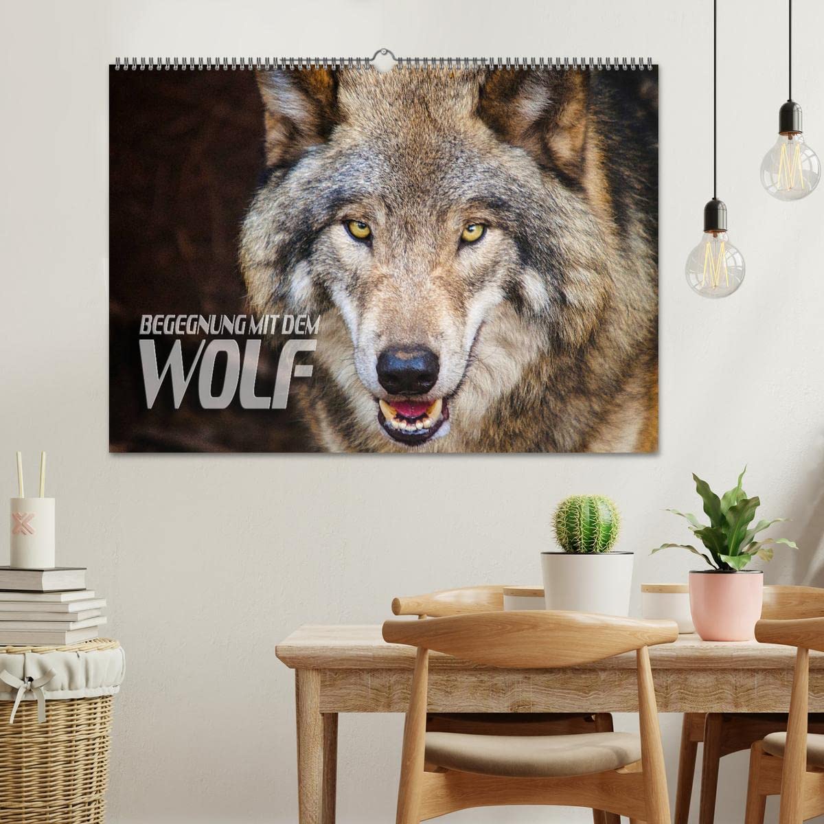 Begegnung mit dem Wolf (Wandkalender 2026 DIN A2 quer), CALVENDO Monatskalender: Faszinierende Aufnahmen von Wölfen aus verschiedenen Territorien (CALVENDO Tiere)