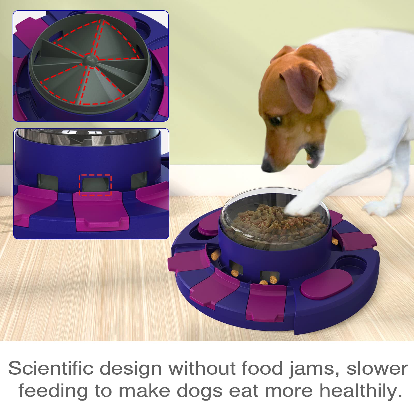 How To Make Dog Eat More