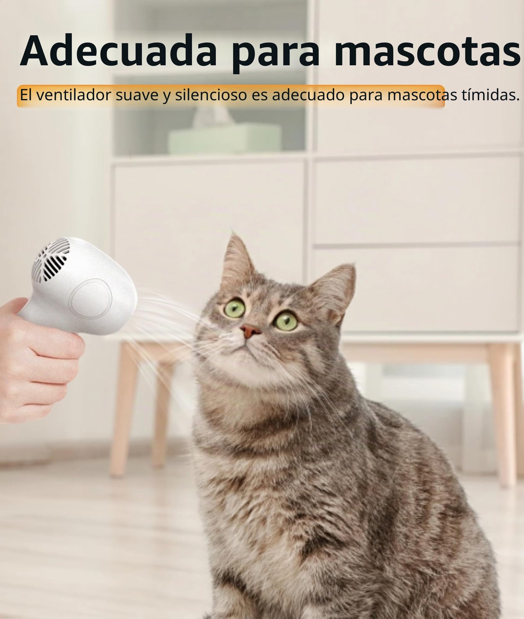 Secador de Pelo para bebé, bajo Nivel de Ruido, Calor Suave para Bebés Pequeños, Secador de Pelo Inalámbrico Recargable de Temperatura Constante de 2 Velocidades, Secador de