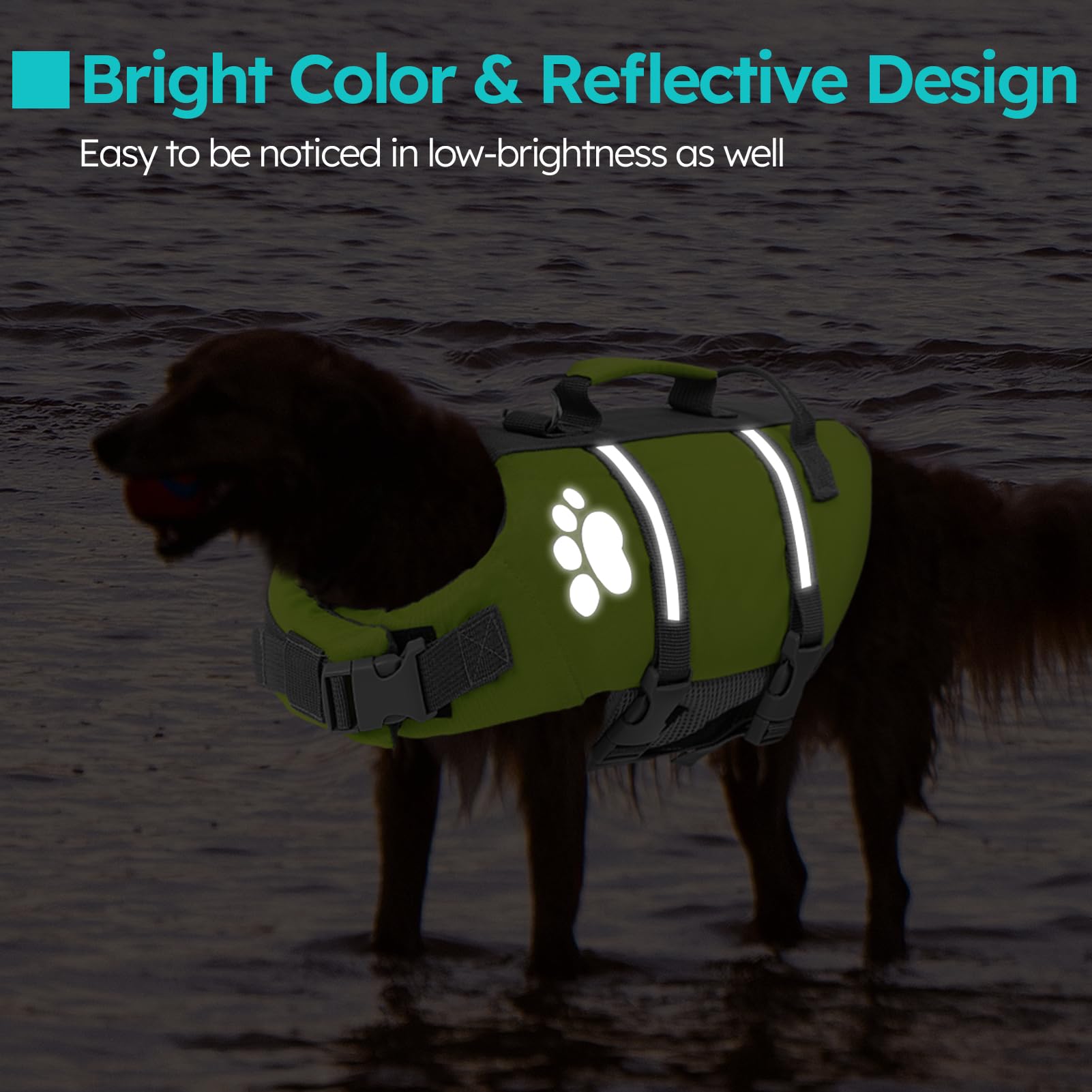 Queenmore Dog Life Jacket Small, Reflective,Lightweight,with Rescue Handle - Image 4