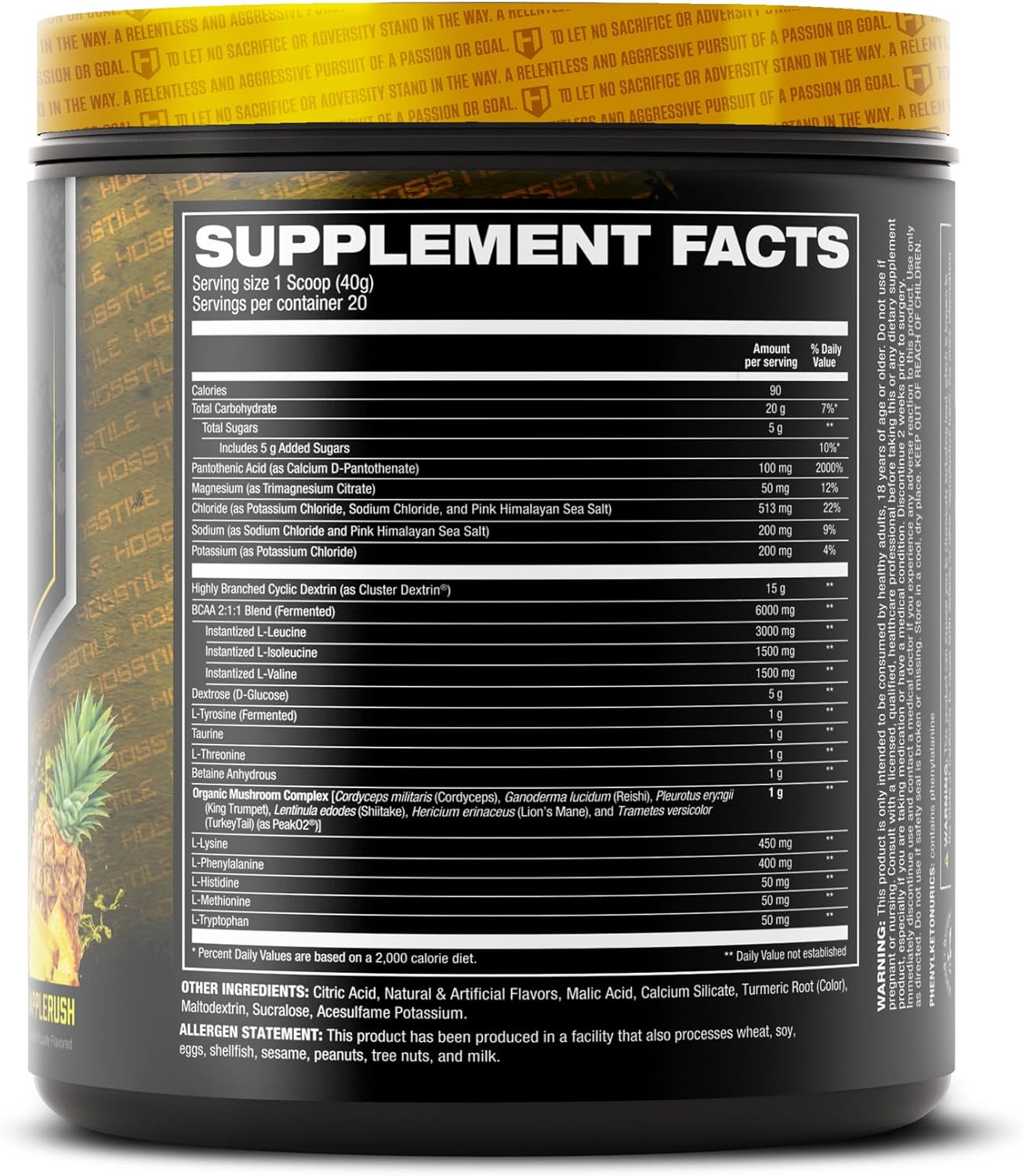 HOSSTILE Intra[R3] Intra Workout Powder, EAA & BCAA Drink with Carbs, Enhance Energy & Endurance, Build Lean Muscle & Improve Recovery, Pineapple Rush, 20 Servings